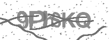 visual captcha